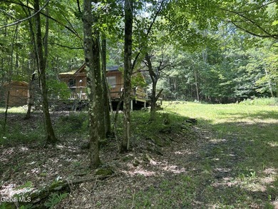 Imagine owning a 10-acre wooded parcel with a seasonal cabin - photo 10