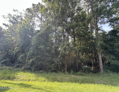Twin Lakes Lot For Sale in Diamondhead Mississippi