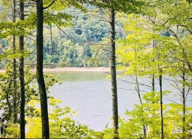 Lake Lot For Sale in Pittsville, Virginia
