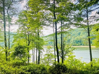 Beautiful WATERFRONT Lot on Peaceful Leesville Lake. 180 degree - photo 2