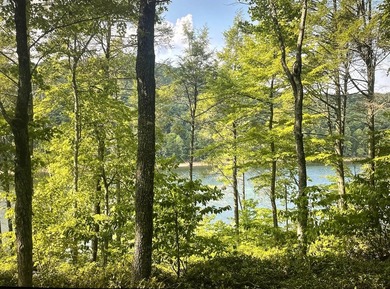 Beautiful WATERFRONT Lot on Peaceful Leesville Lake. 180 degree - photo 3
