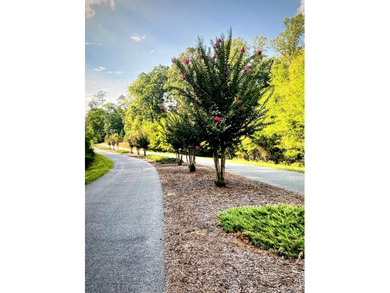Beautiful WATERFRONT Lot on Peaceful Leesville Lake. 180 degree - photo 4