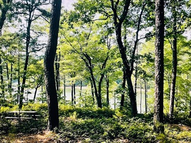 Beautiful WATERFRONT Lot on Peaceful Leesville Lake. 180 degree - photo 5
