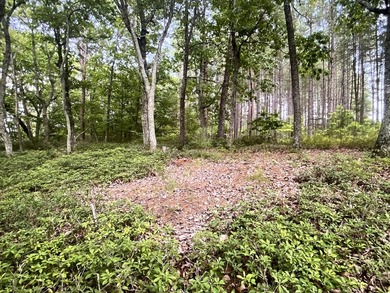 Beautiful WATERFRONT Lot on Peaceful Leesville Lake. 180 degree - photo 6