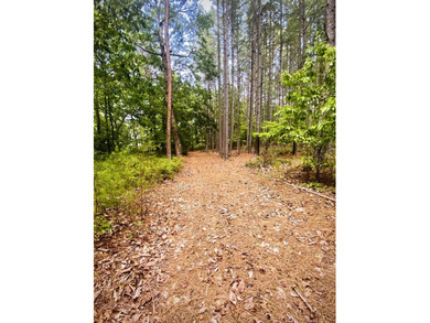 Beautiful WATERFRONT Lot on Peaceful Leesville Lake. 180 degree - photo 7