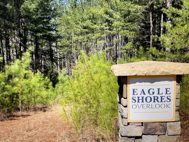 Beautiful WATERFRONT Lot on Peaceful Leesville Lake. 180 degree - photo 10