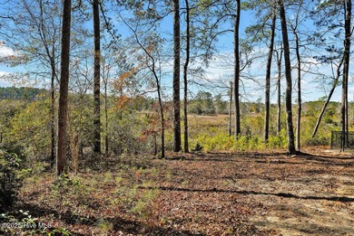 Beautiful wooded riverfront homesite in RiverSea is sure to - photo 11
