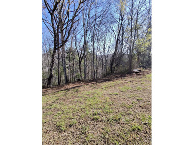 6388 Centennial Rd, Blacksburg, Va - photo 12