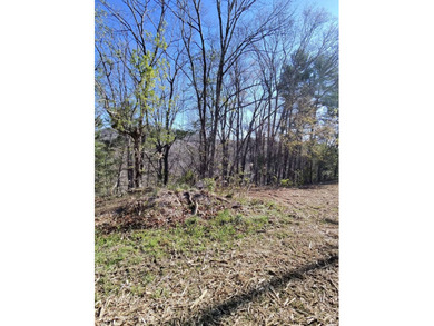 6388 Centennial Rd, Blacksburg, Va - photo 13