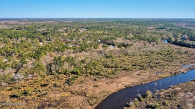 Beautiful wooded riverfront homesite in RiverSea is sure to - photo 16