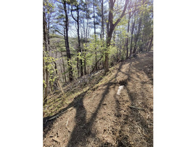 6388 Centennial Rd, Blacksburg, Va - photo 19
