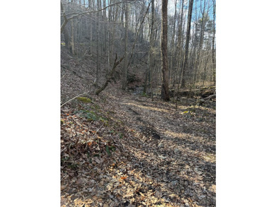 6388 Centennial Rd, Blacksburg, Va - photo 35