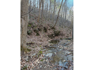 6388 Centennial Rd, Blacksburg, Va - photo 36