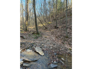 6388 Centennial Rd, Blacksburg, Va - photo 37
