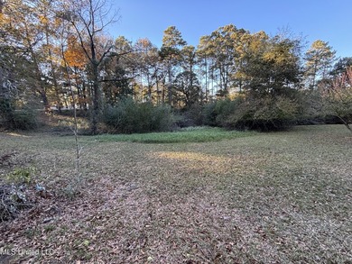 Charming Country Home on 12 Acres in Bay Springs Community!Come - photo 11