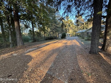 Charming Country Home on 12 Acres in Bay Springs Community!Come - photo 13