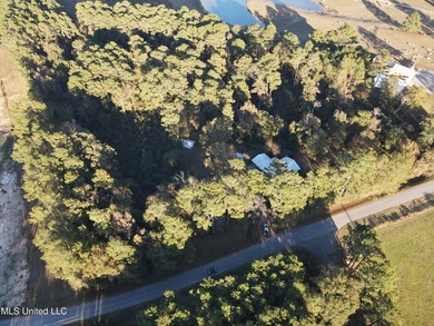 Charming Country Home on 12 Acres in Bay Springs Community!Come - photo 16