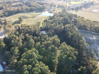 Charming Country Home on 12 Acres in Bay Springs Community!Come - photo 18