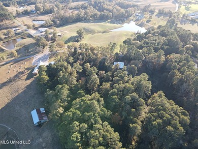Charming Country Home on 12 Acres in Bay Springs Community!Come - photo 19