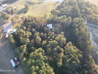 Charming Country Home on 12 Acres in Bay Springs Community!Come - photo 24
