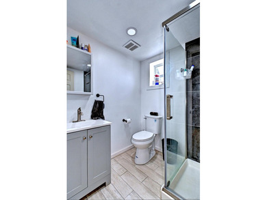 UPDATED SPACIOUS CAPE , 4 BEDROOMS 2 BATHROOMS, EAT IN KITCHEN - photo 29