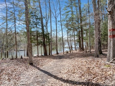 Tucked away in the Desired Lakeside Community of Merrifield - photo 45