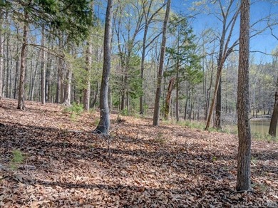 Tucked away in the Desired Lakeside Community of Merrifield - photo 48