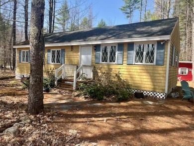 Trickey Pond Home For Sale in Naples Maine