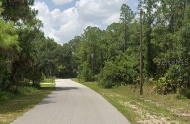 3.64+/- acres located in the heart of North Port on Ananas Rd - photo 2