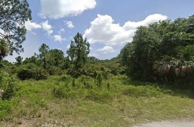 3.64+/- acres located in the heart of North Port on Ananas Rd - photo 3