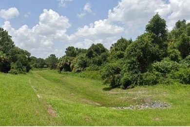 3.64+/- acres located in the heart of North Port on Ananas Rd - photo 4