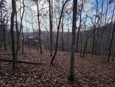 Toccoa River - Fannin County Lot For Sale in Mineral Bluff Georgia