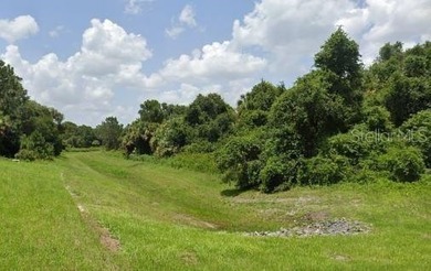 Great 1.49 acre site in the heart of North Port on Firebrand Rd - photo 4