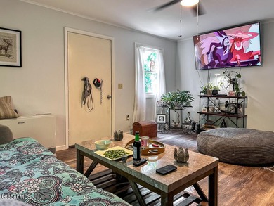 Exceptional investment opportunity in the heart of Lake George! - photo 8