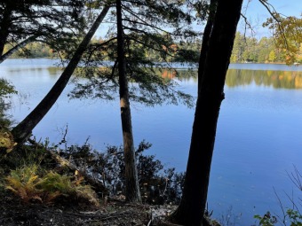 Lake Lot Off Market in Readfield, Maine