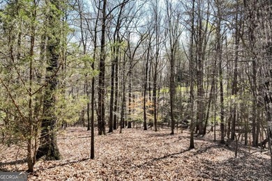 Rare opportunity in one of Gainesville's most exclusive enclaves - photo 2