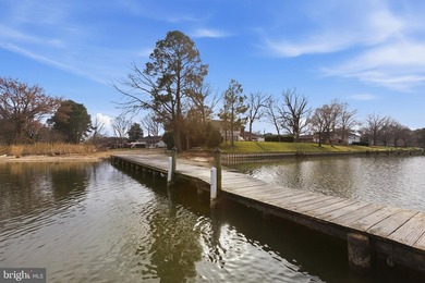 COME HOME TO THIS PRISTINE HOME LOCATED IN THE RIVERFRONT - photo 48