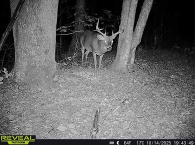 (private lake, pond, creek) Acreage For Sale in South Webster Ohio