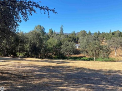 Come build your dream home in beautiful Pine Mountain Lake - Lake Lot For Sale in Groveland, California