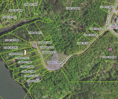 Lake Lot For Sale in Pittsville, Virginia