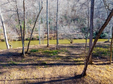 Unique Hiwassee Riverfront Opportunity - Buildable Homesite + - photo 3