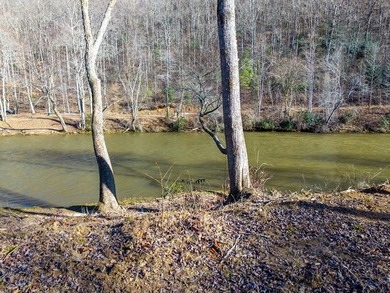 Unique Hiwassee Riverfront Opportunity - Buildable Homesite + - photo 5
