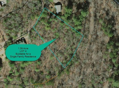 Unique Hiwassee Riverfront Opportunity - Buildable Homesite + - photo 8