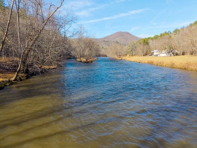 Unique Hiwassee Riverfront Opportunity - Buildable Homesite + - photo 9