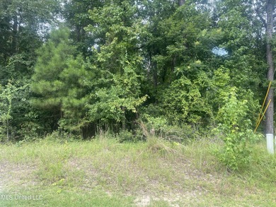 Twin Lakes Lot For Sale in Diamondhead Mississippi