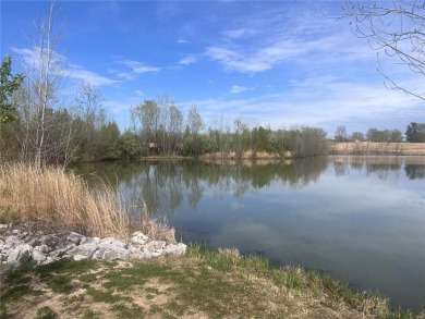 (private lake, pond, creek) Acreage For Sale in Bethalto Illinois