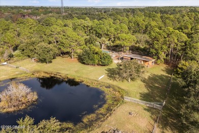 (private lake, pond, creek) Home For Sale in Oak Hill Florida