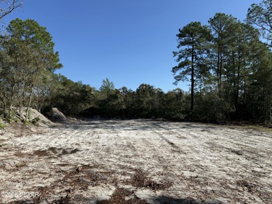 (private lake, pond, creek) Lot For Sale in Eustis Florida