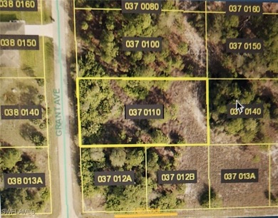 Lehigh Acres Area Lot For Sale in Lehigh Acres Florida
