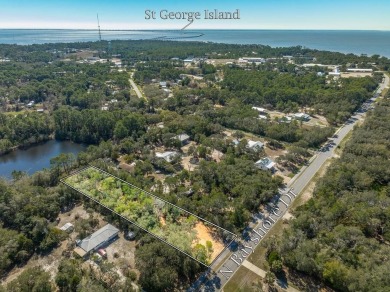 (private lake, pond, creek) Lot For Sale in Eastpoint Florida